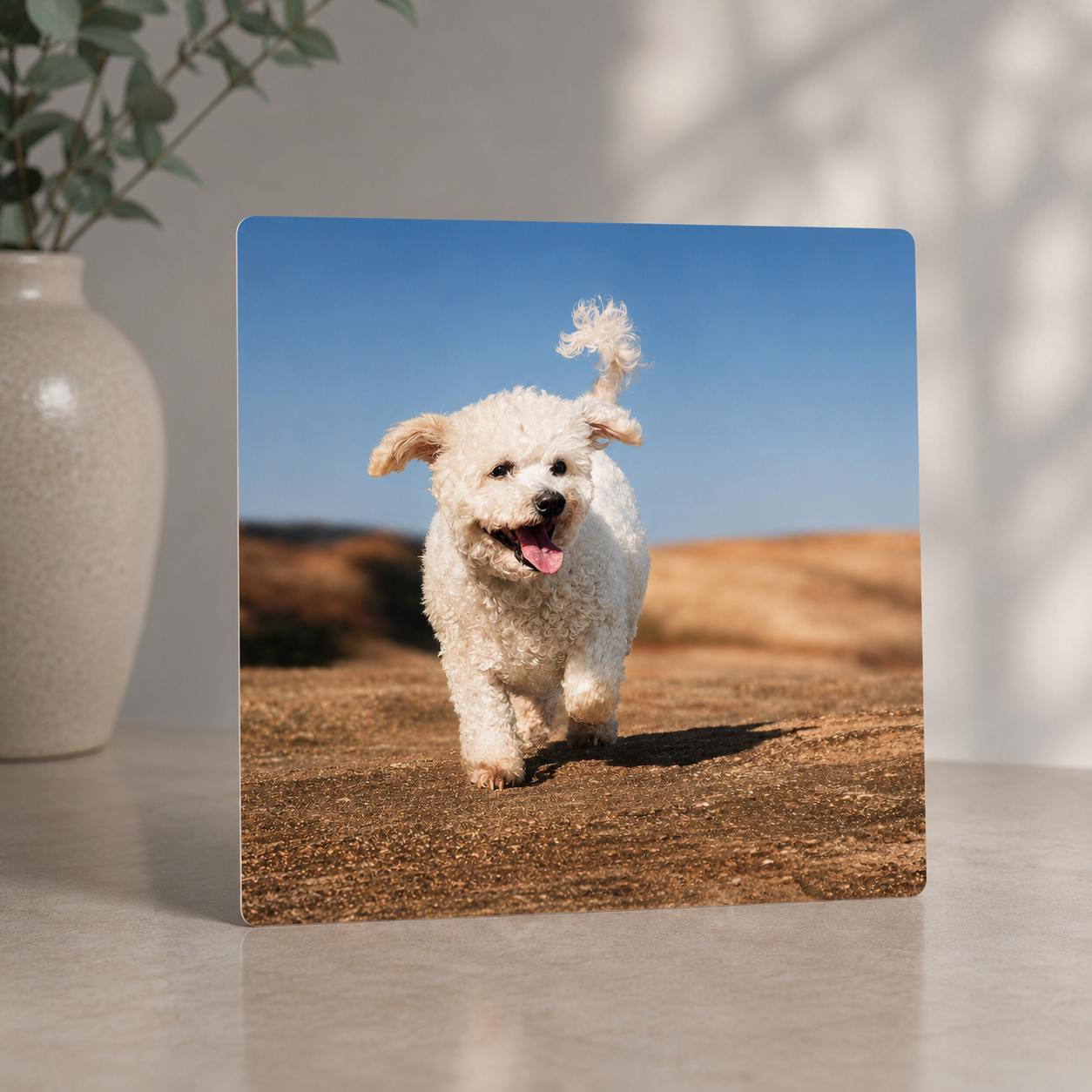Hero Chrome front view — Top Dog Photography